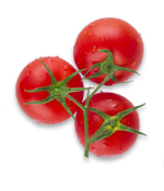 tomato_6-1